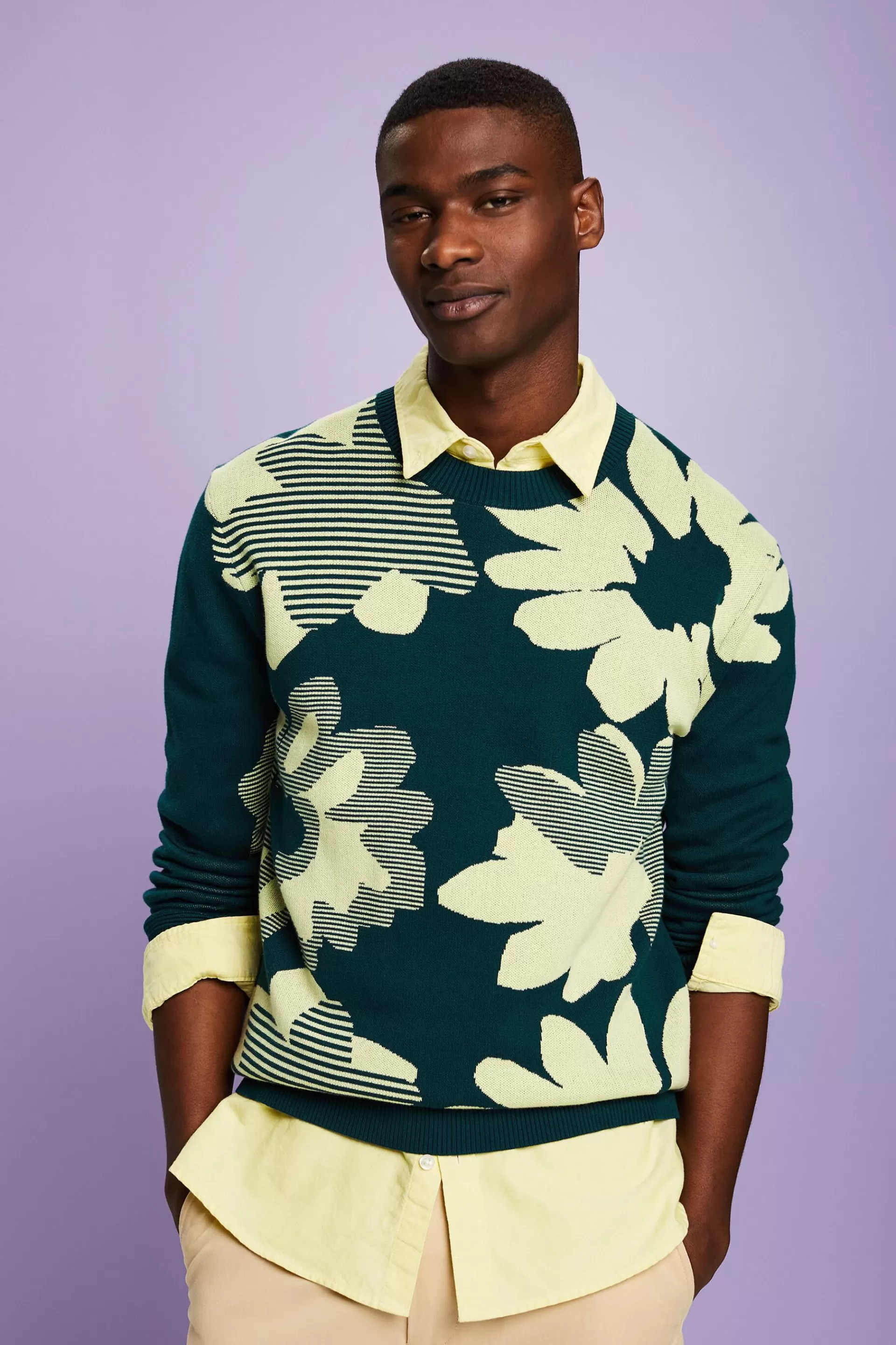 Jacquard-Pullover aus Baumwolle-ESPRIT Online