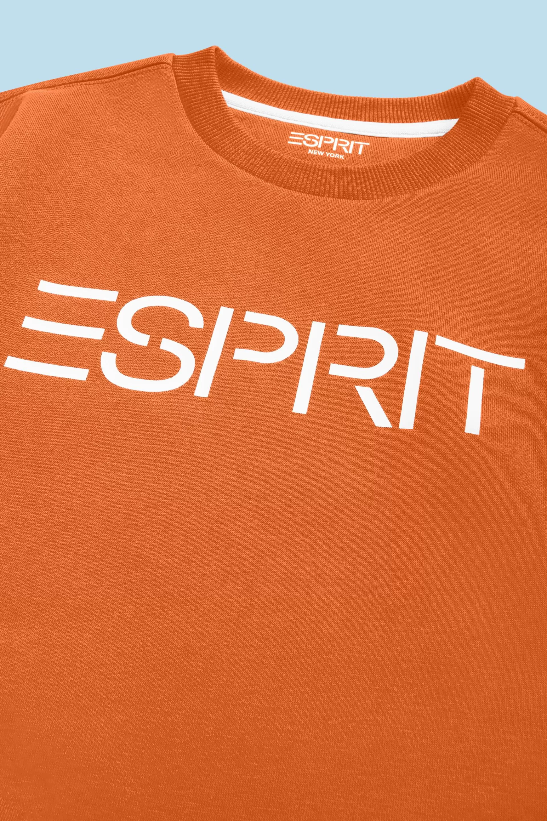 Logo-Sweatshirt mit Rundhalsausschnitt-ESPRIT Flash Sale