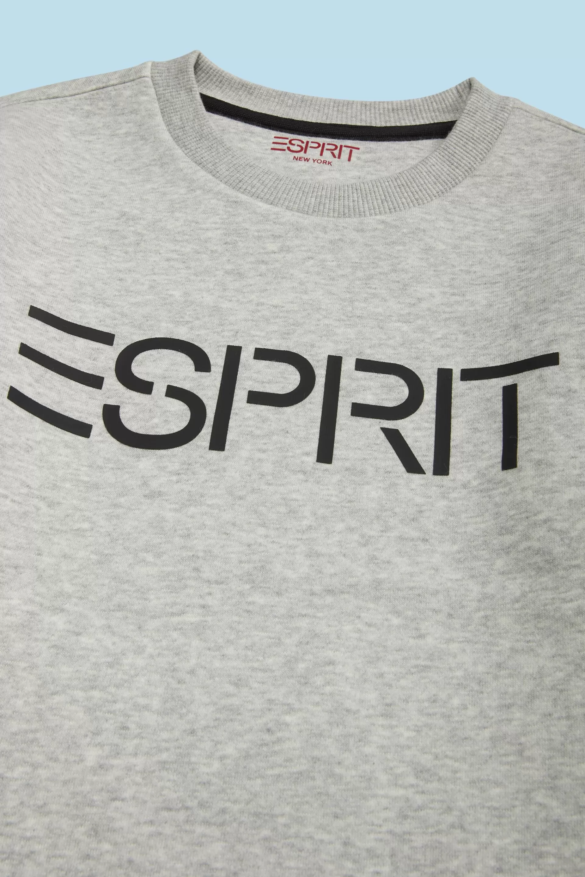 Logo-Sweatshirt mit Rundhalsausschnitt-ESPRIT Best