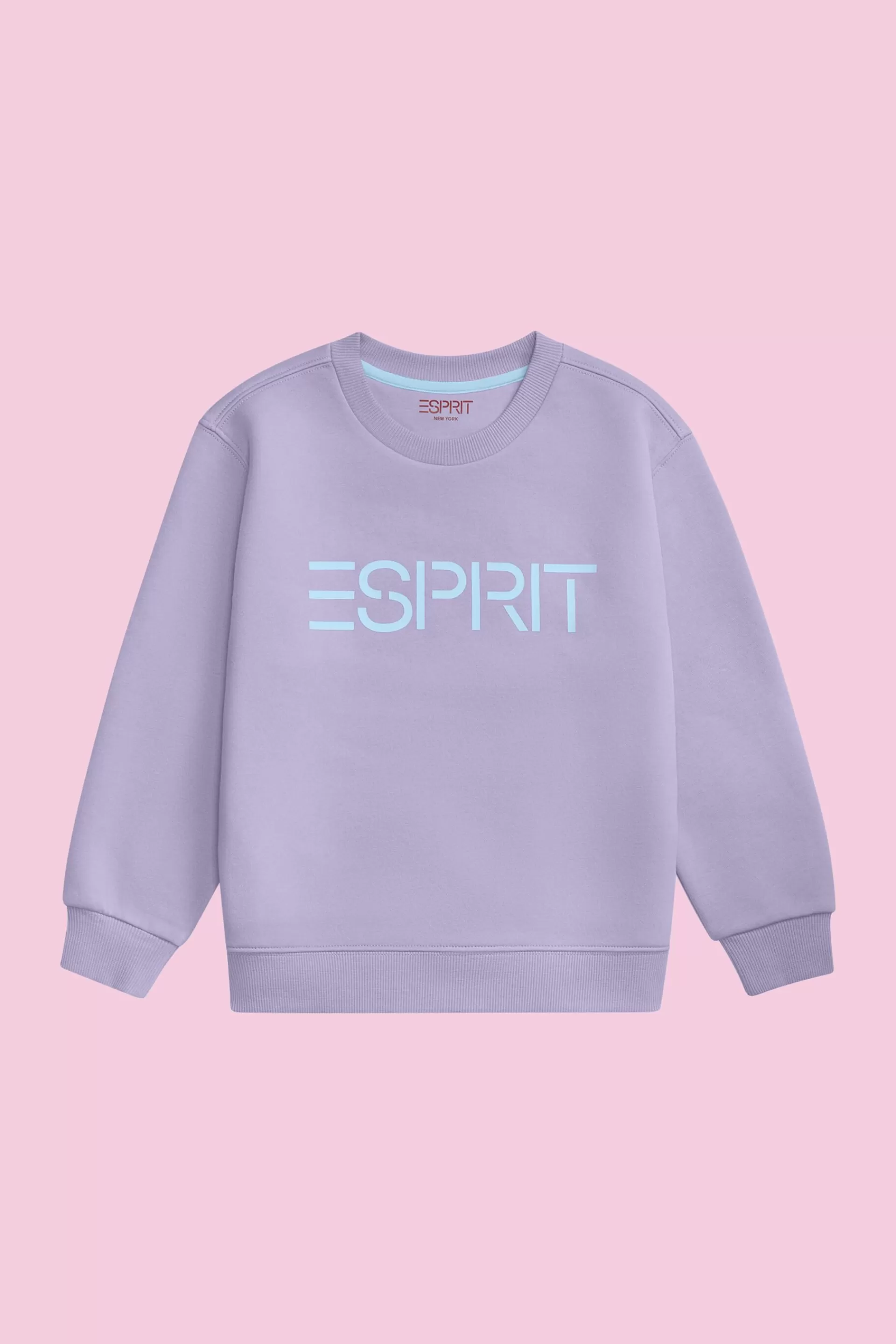 Logo-Sweatshirt mit Rundhalsausschnitt-ESPRIT New