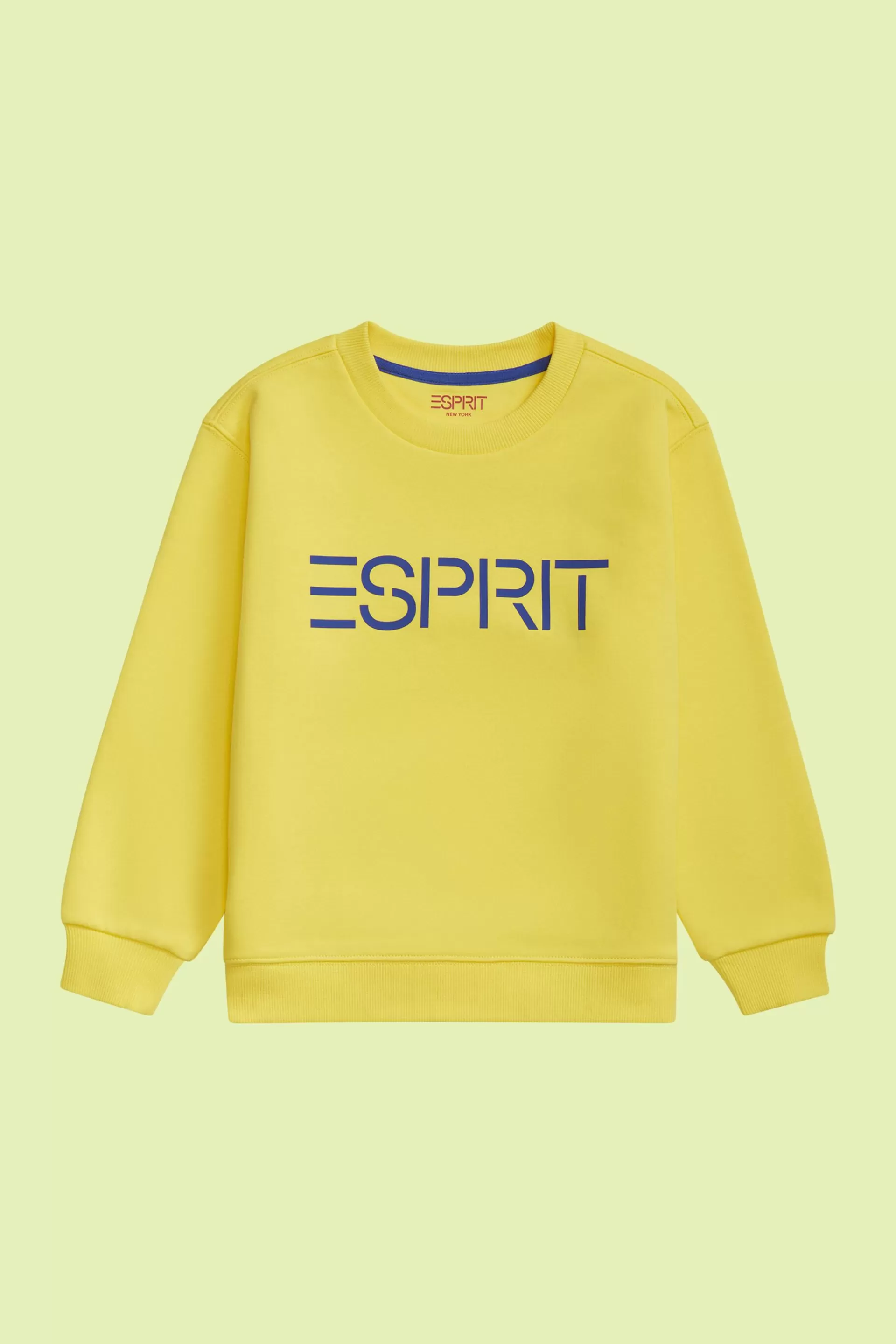 Logo-Sweatshirt mit Rundhalsausschnitt-ESPRIT Best Sale