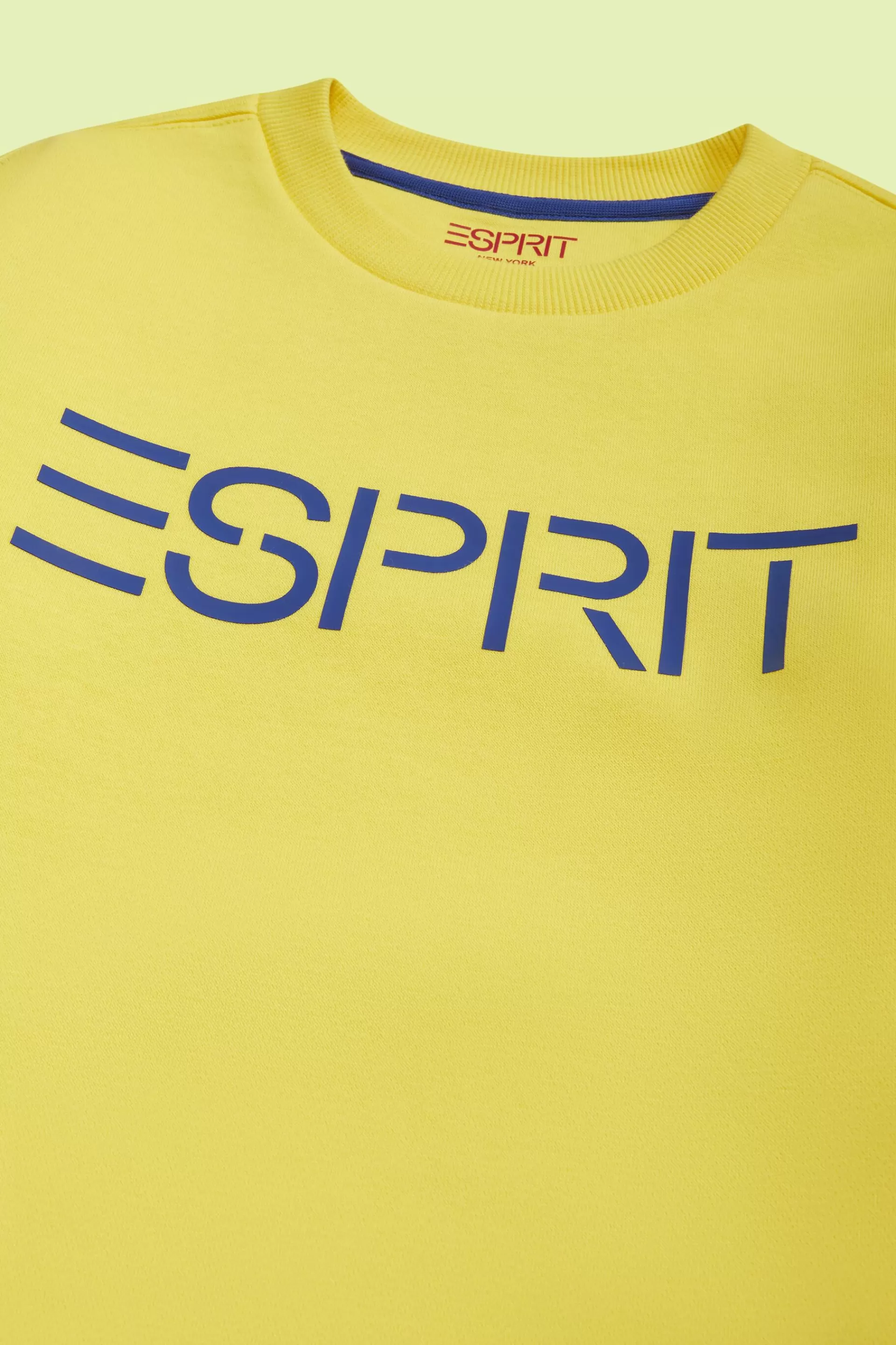 Logo-Sweatshirt mit Rundhalsausschnitt-ESPRIT Best Sale