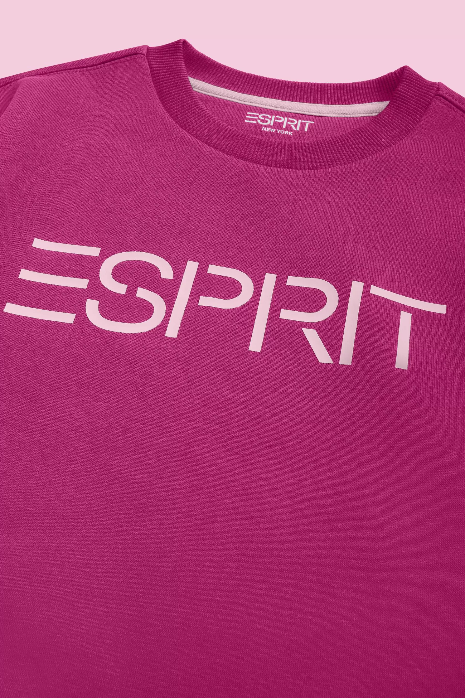 Logo-Sweatshirt mit Rundhalsausschnitt-ESPRIT Best Sale