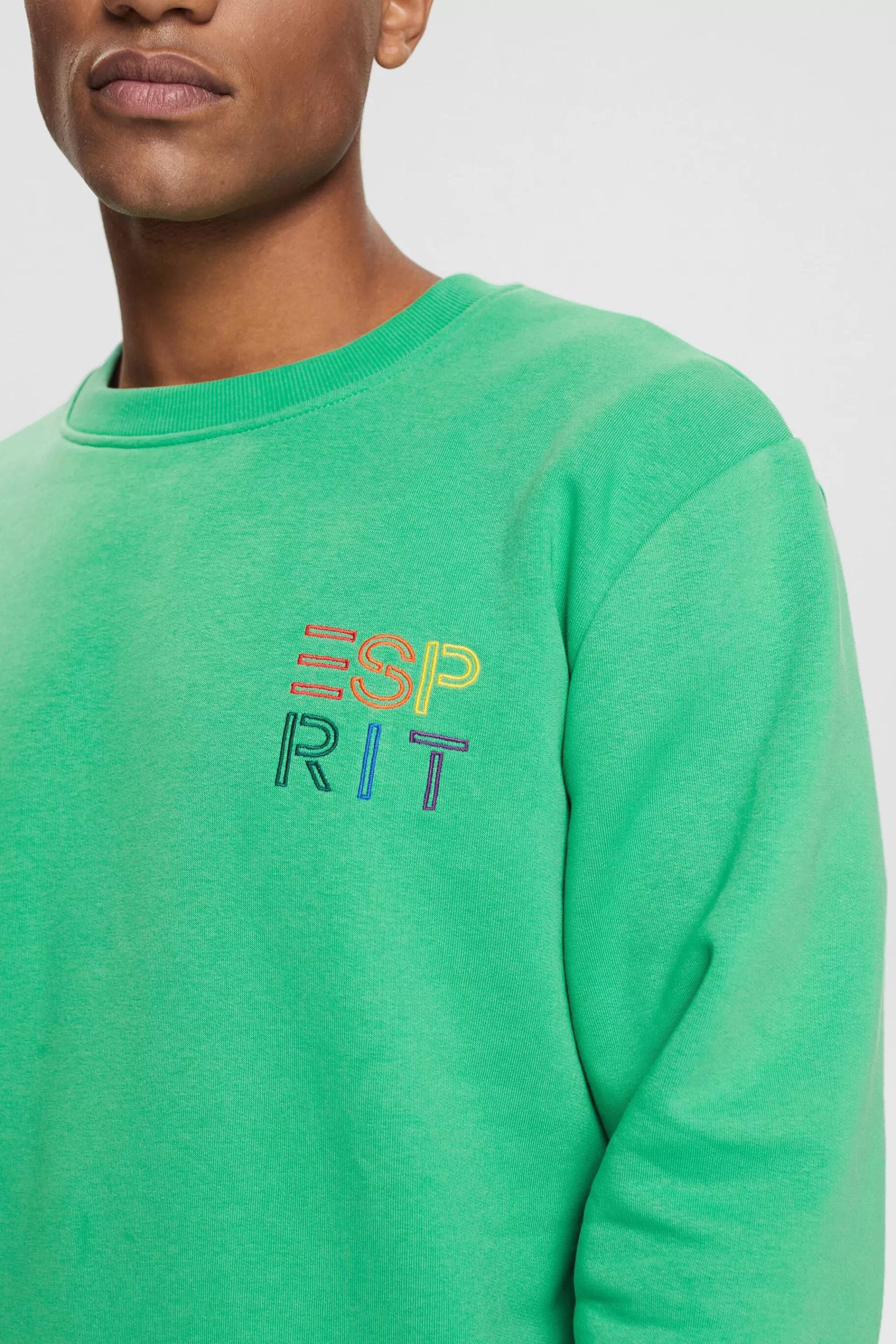 Logo-Sweatshirt mit Stickerei-ESPRIT New