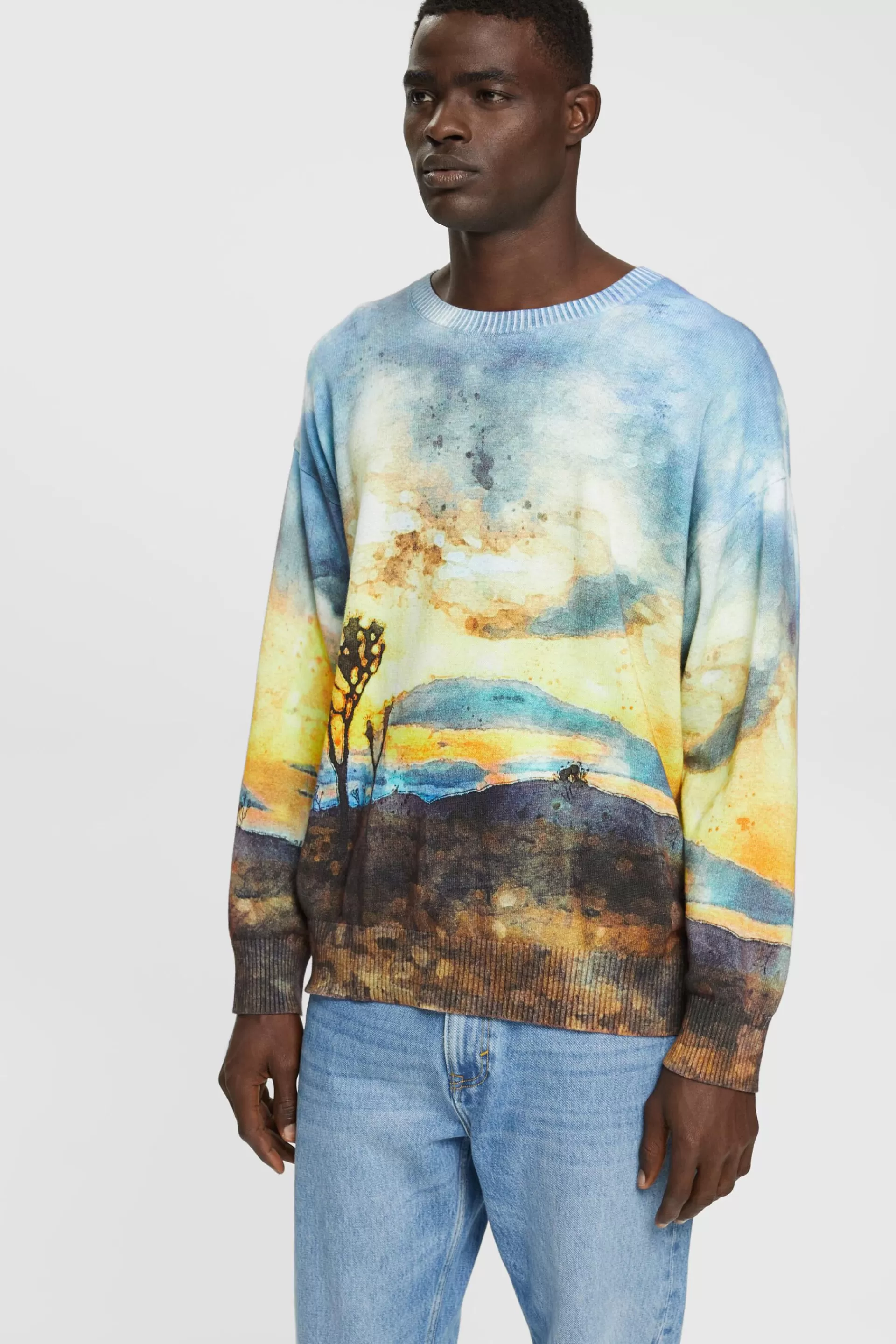 Pullover mit digitalem Allover-Landschafts-Print-ESPRIT Cheap