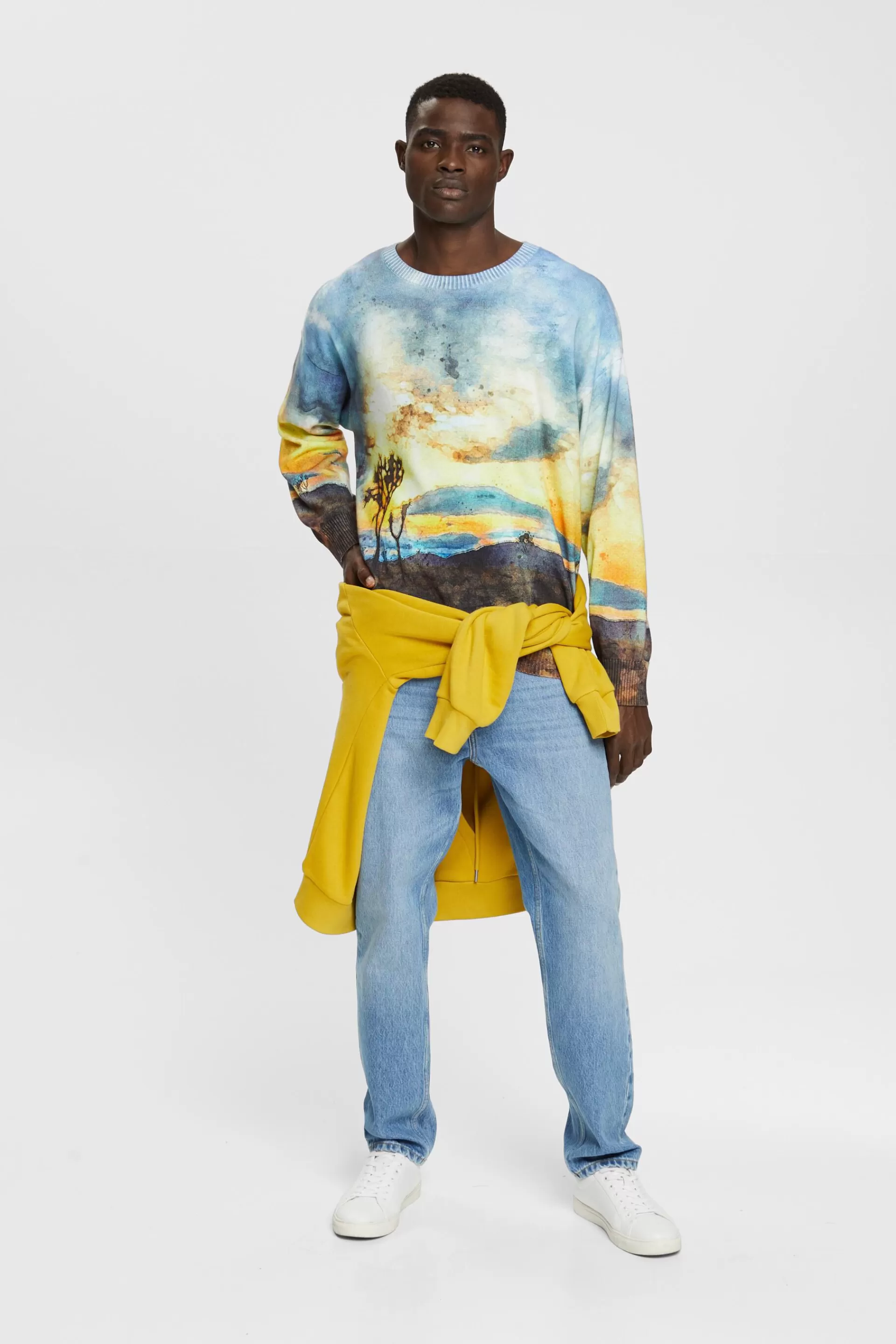 Pullover mit digitalem Allover-Landschafts-Print-ESPRIT Cheap