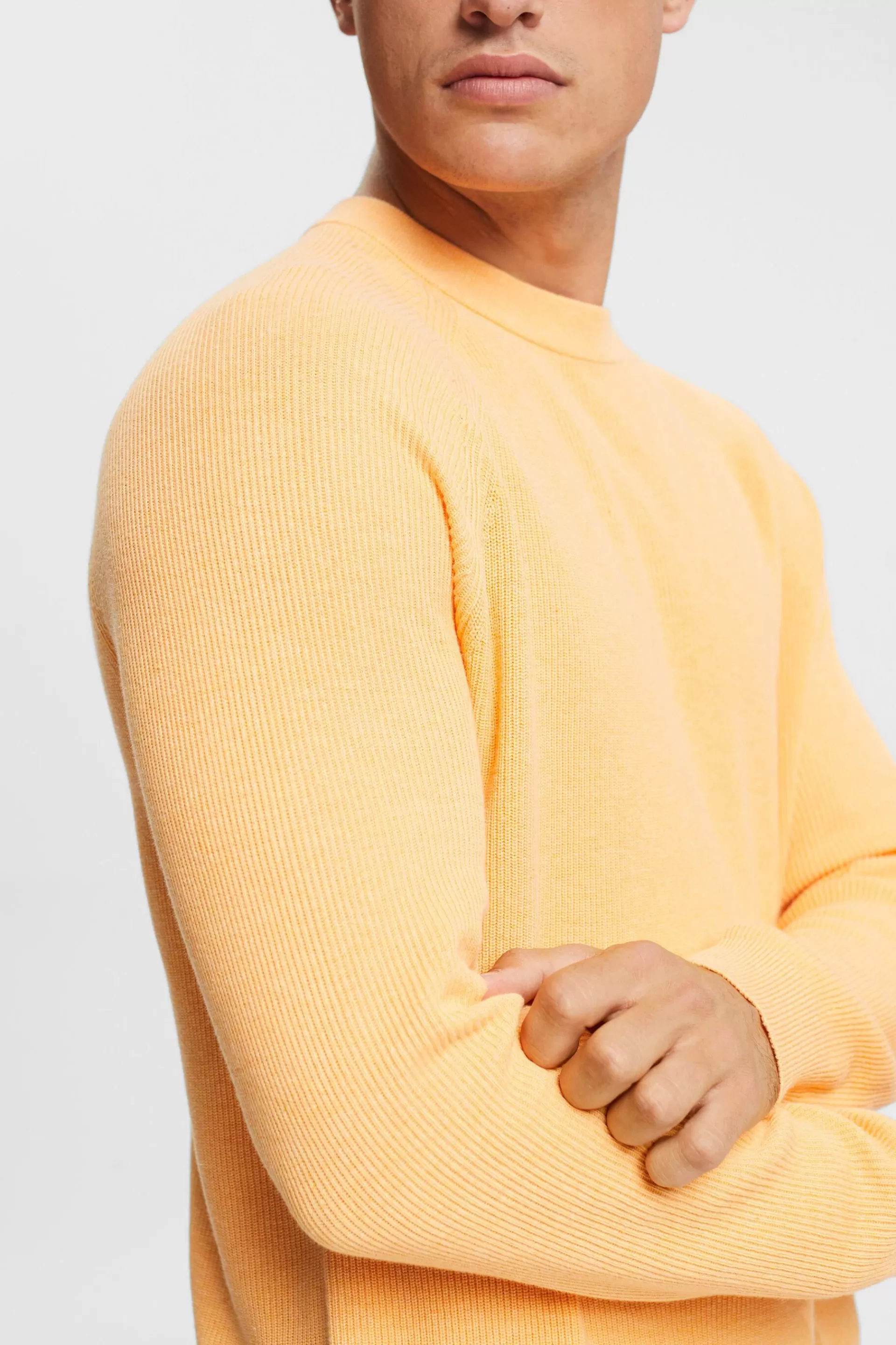 Pullover mit Rundhalsausschnitt, 100 % Baumwolle-ESPRIT Best Sale