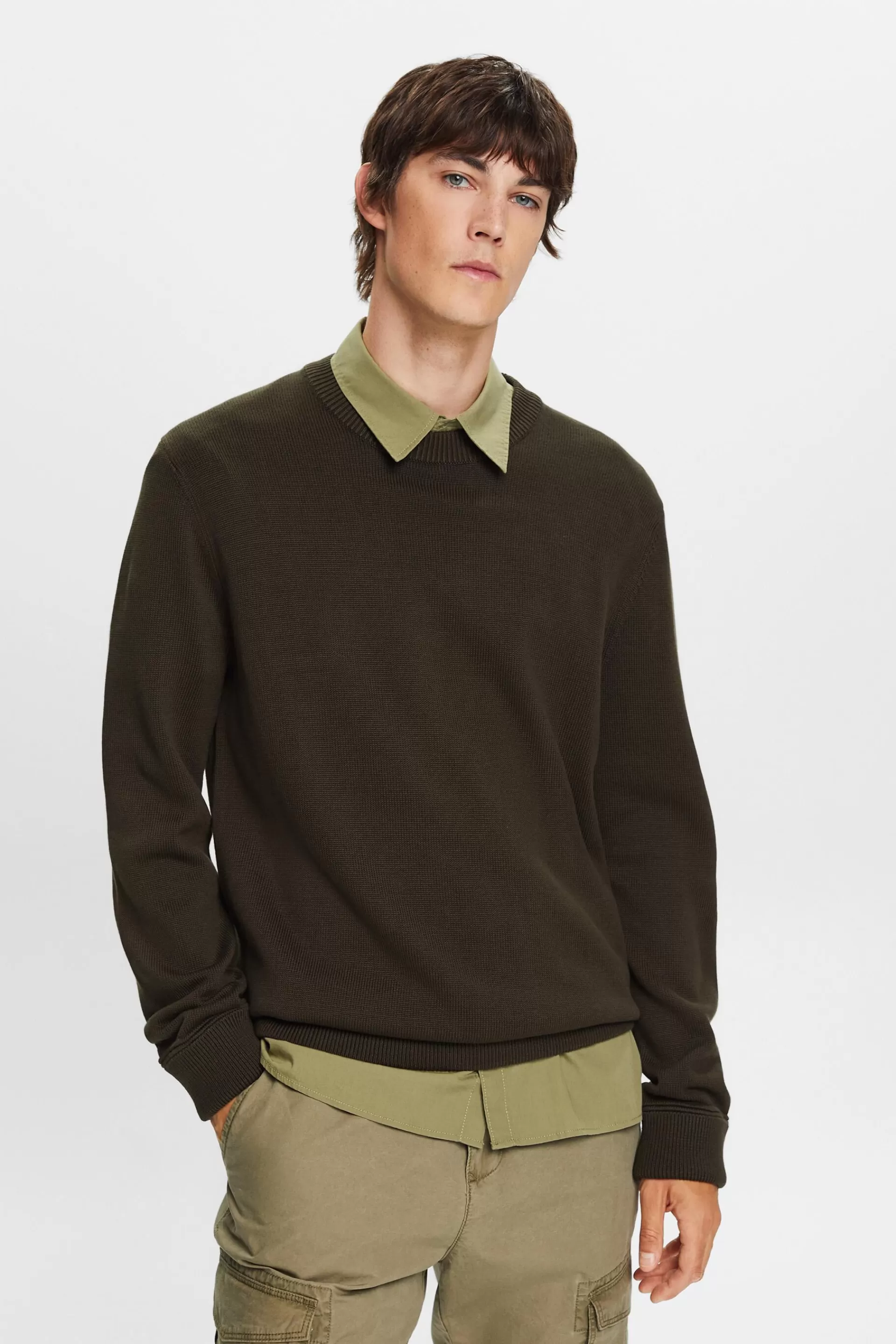 Rundhalspullover aus Baumwolle-ESPRIT Outlet