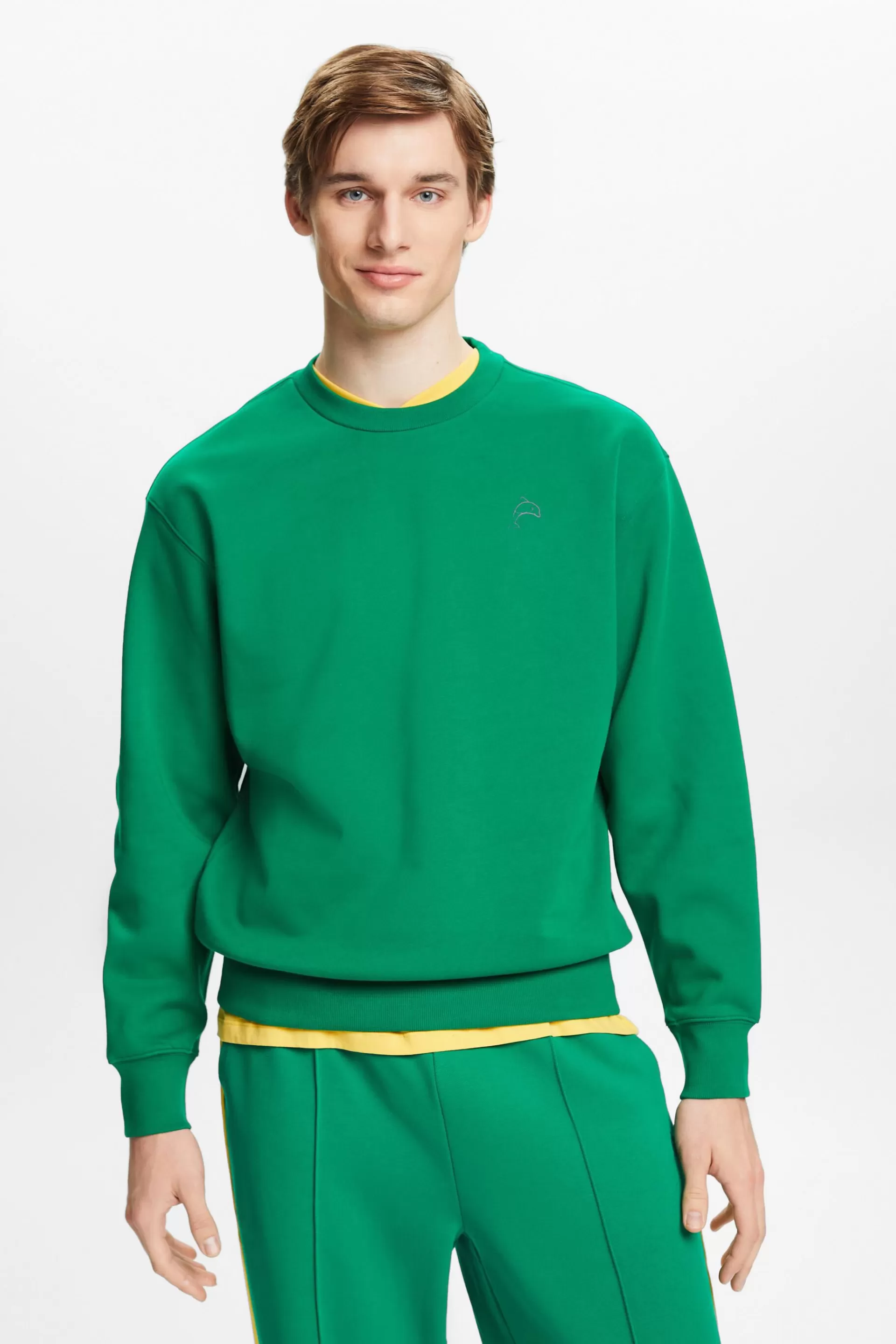 Sweatshirt mit kleinem Delfinprint-ESPRIT Sale