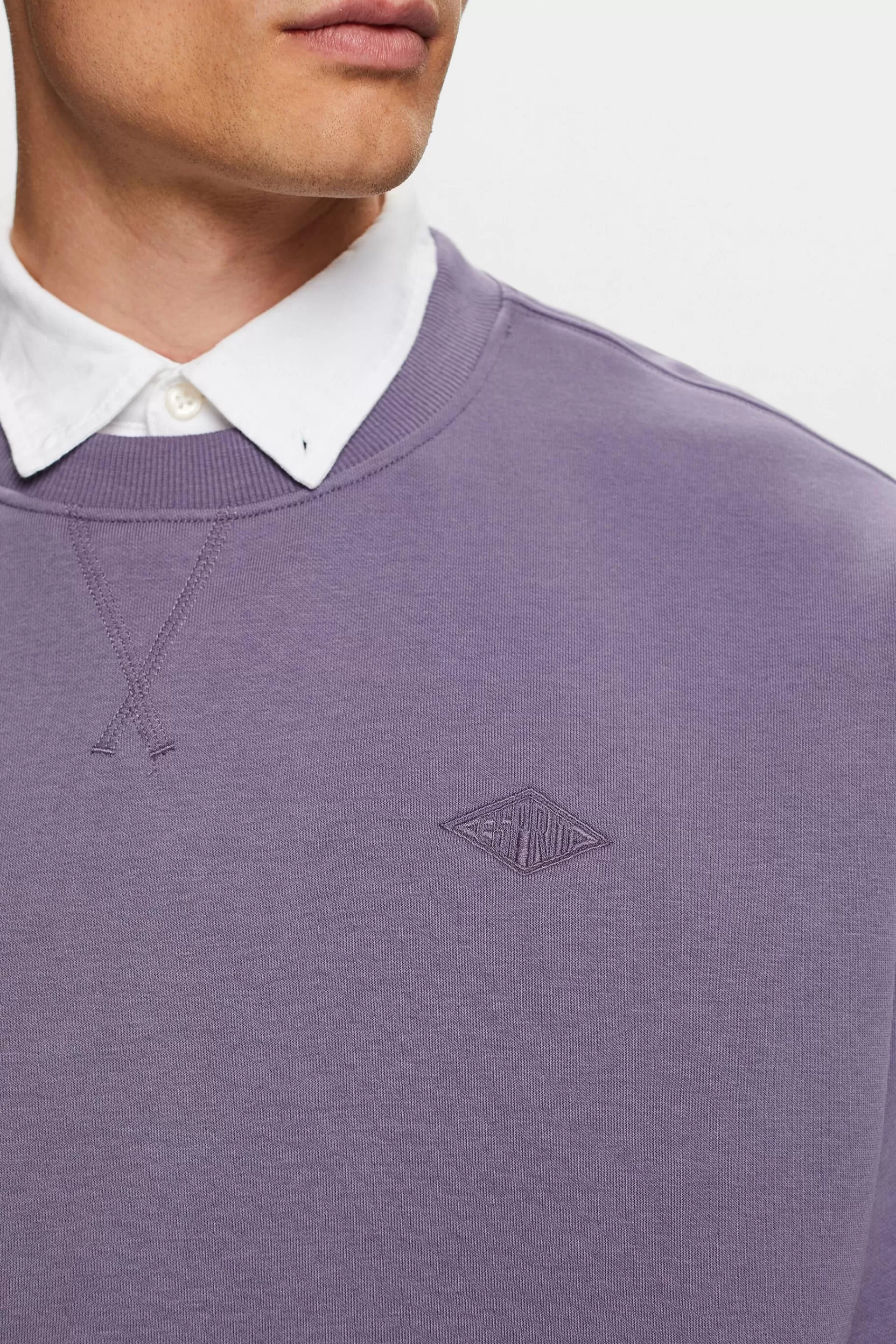 Sweatshirt mit Logostickerei-ESPRIT Hot